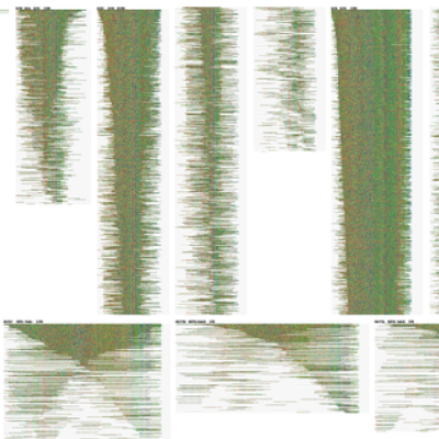 Human Repeats (chr 18)