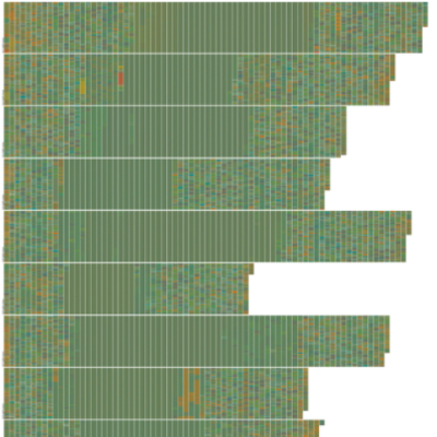 Unique Human vs Chimpanzee